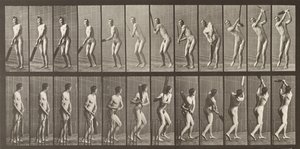 Cricketer, plate 291 from 